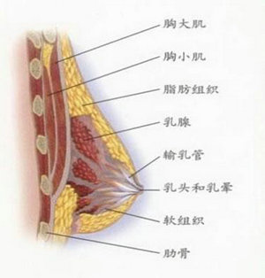 乳房结节需要手术吗